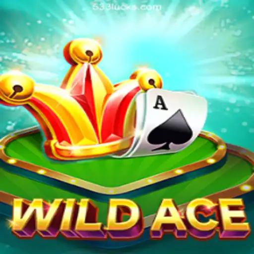 Exploring WildAce: A Thrilling Gaming Experience